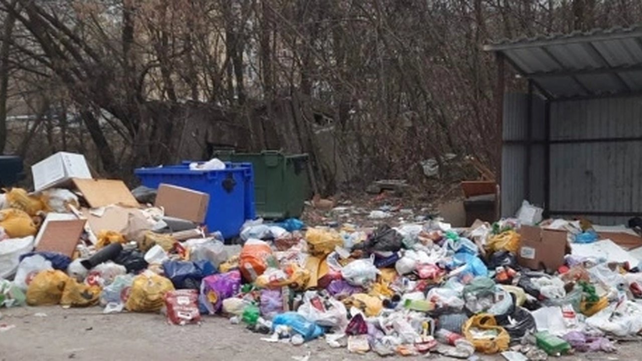 Главная картинка новости: И снова проблемы с мусором: владимирская прокуратура выявила нарушения порядка вывоза отходов