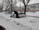 Змея предоставит безграничное счастье: этот знак Зодиака в 2025 году ждут море любви и денежные горы — восточный гороскоп