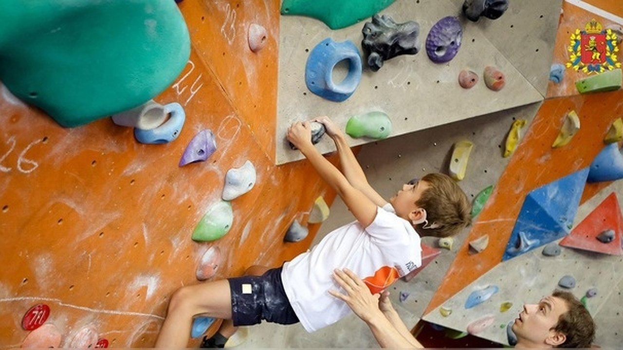 Главная картинка новости: Во Владимире стартовал проект «Спорт ТУР» для детей с инвалидностью