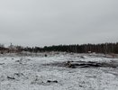 В Судогодском районе возбуждено дело о незаконной вырубке леса на сумму более миллиона рублей