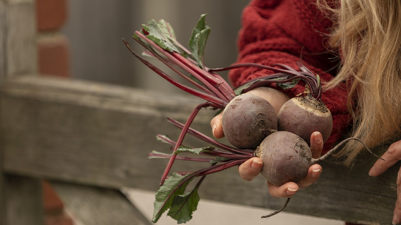 Главная картинка новости: Не варю свеклу часами — достаточно 15 минут: есть уловка при варке — получается вкуснее, сочнее и без запаха на весь дом