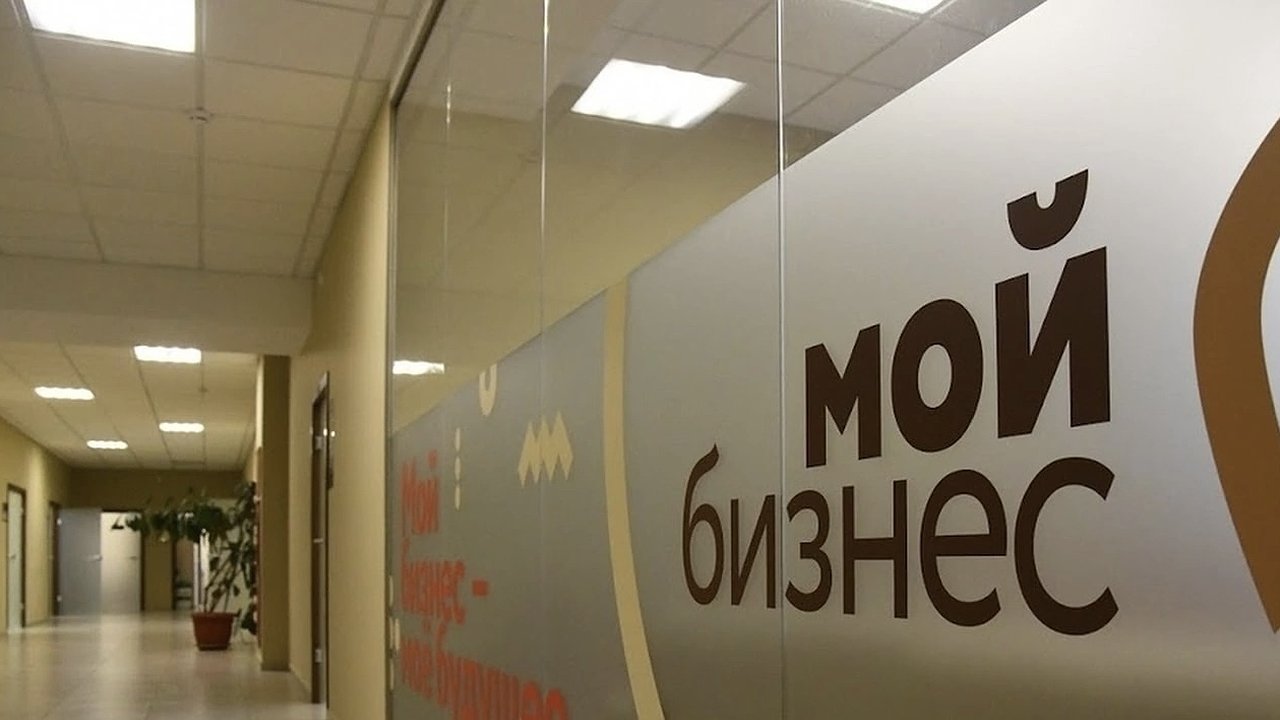 Главная картинка новости: За 2024 год во Владимирской области получили поддержку 9470 малых и средних предпринимателей