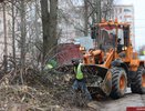 Во Владимире продолжают работы по обрезке деревьев