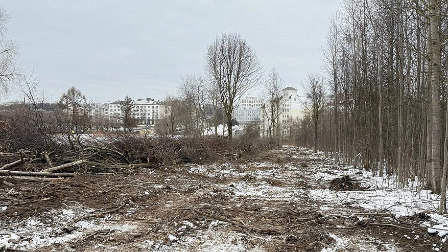 Главная картинка новости: Во Владимире возведут новый съезд с Октябрьского проспекта