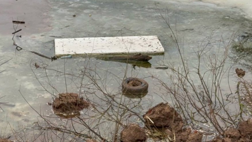 Главная картинка новости: Во Владимире планируют облагородить территорию парка у Дворца детского и юношеского творчества