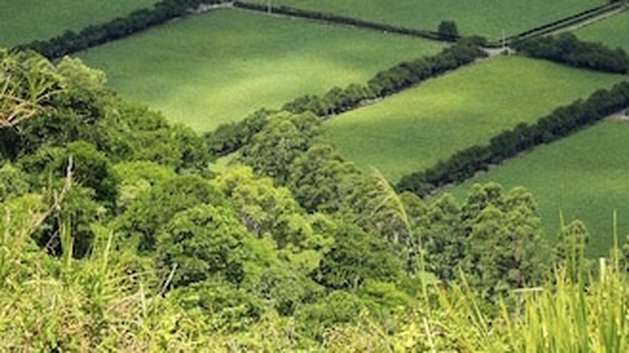Главная картинка новости: В Вязниковском районе совладелец земельного участка арестован за неуплату штрафов
