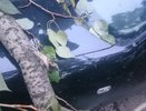 Житель Владимира выиграл дело о компенсации ущерба за поврежденный автомобиль