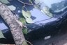 Миниатюра новости: Житель Владимира выиграл дело о компенсации ущерба за поврежденный автомобиль