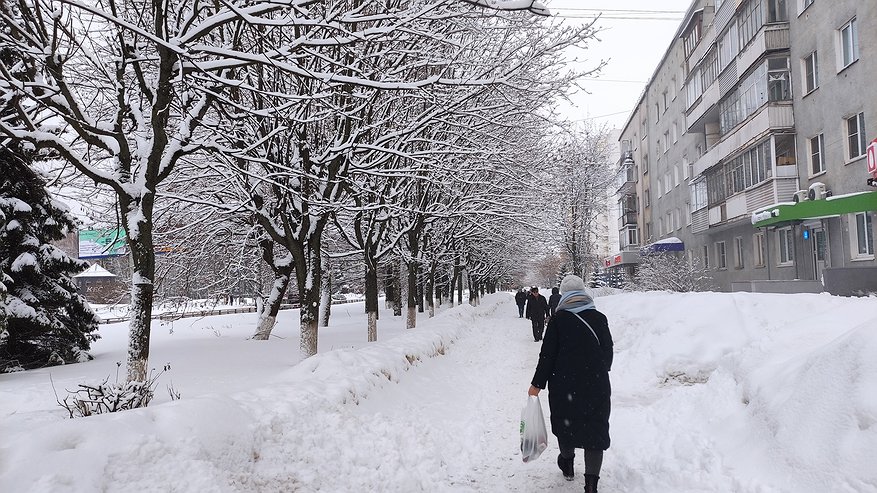 Главная картинка новости: Потонут в деньгах этой зимой: Глоба рассказала, какие знаки получат колоссальную прибыль