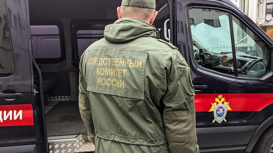 Главная картинка новости: В посёлке Балакирево Александровского района мужчина до смерти забил гостя