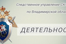 Миниатюра новости: В 2024 году подростки во Владимирской области совершили более 170 преступлений