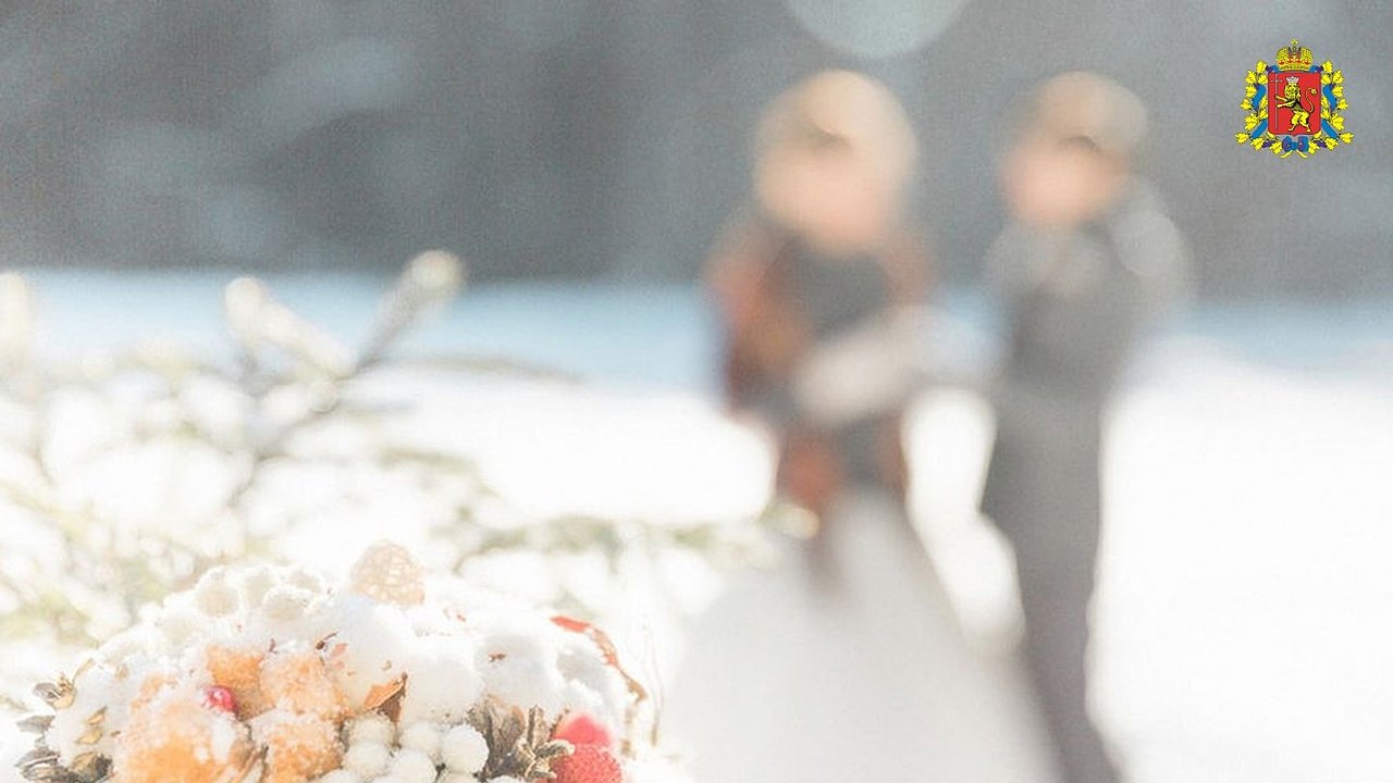 Главная картинка новости: Во Владимирской области за январь 2025 года сыграно 385 свадеб