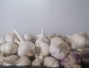 Так им пользовались еще наши предки: положите чеснок под подушку и утром увидите эффект