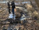Во Владимире выявили сброс сточных вод в промышленной зоне