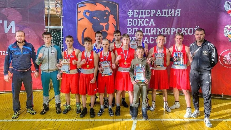 Главная картинка новости: Владимирские боксеры завоевали награды на областном первенстве и турнире
