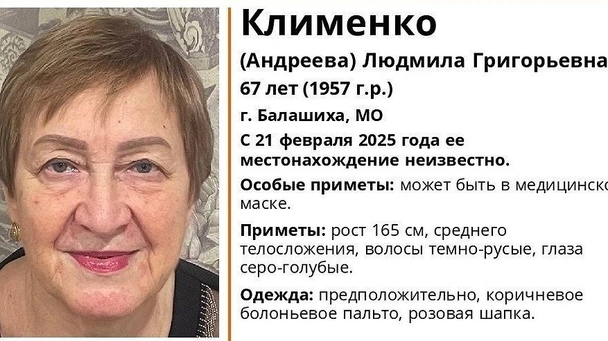 Главная картинка новости: Во Владимирской области ведутся поиски пропавшей 67-летней женщины