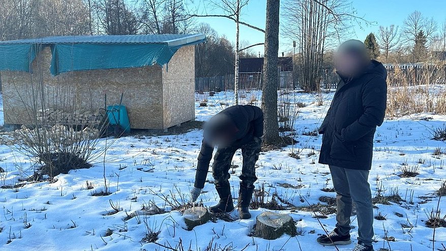 Главная картинка новости: Житель Судогодского района обвиняется в причинении смерти по неосторожности