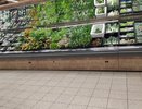Овощ, который умерщвляет почки: в Европе его избегают, а в России – все обожают