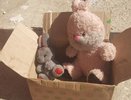 «Крайне опасно!»: владимирцам напоминают, как нужно поступать с найденными бесхозными вещами