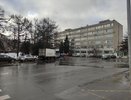 Аномальную жару ждите в начале марта: Вильфанд предупредил, что лето придет на 2 месяца раньше обычного