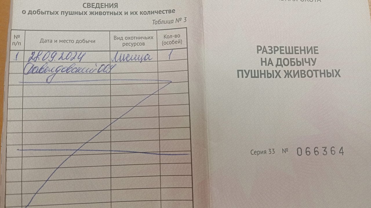 Главная картинка новости: Охотникам Владимирской области напоминают о сроках отчетности за сезон
