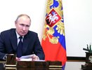 Президент России наградил многодетные семьи и заслуженных специалистов региона