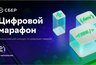Миниатюра новости: Жителей Владимирской области приглашают принять участие в «Цифровом марафоне»