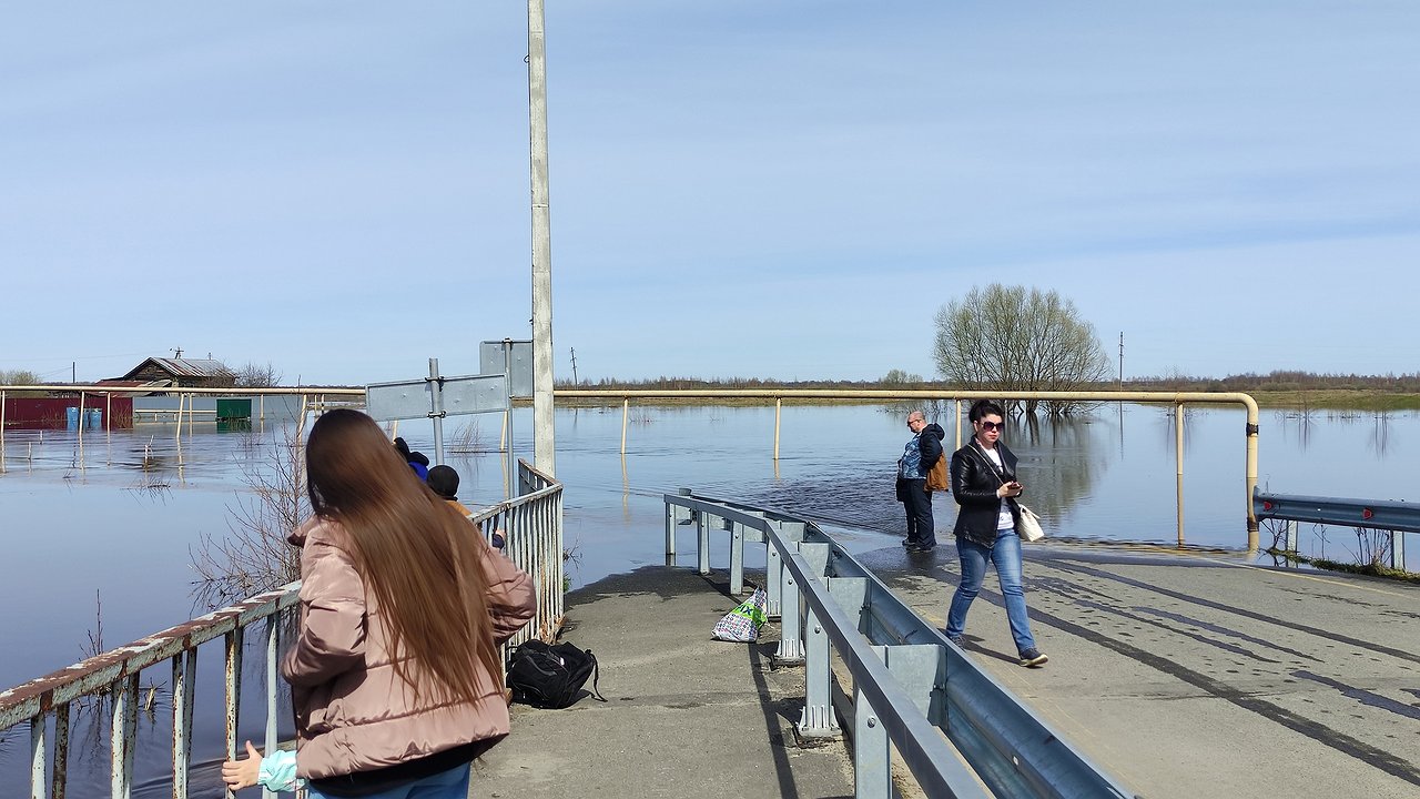 Главная картинка новости: Каким будет лето 2025 после аномально теплой зимы: эксперты высказались о том, что ждёт садоводов