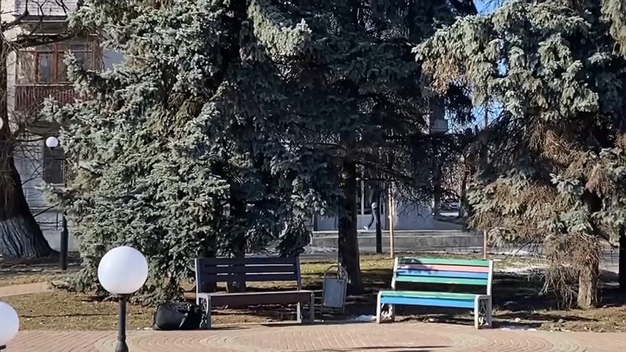 Главная картинка новости: Во Владимире начали работу по защите деревьев от повреждений и погодных воздействий