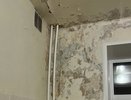 В Кольчугинской районной больнице выявлены серьезные нарушения санитарных норм