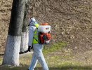 Во Владимире началась весенняя обработка зелёных зон от вредителей и клещей