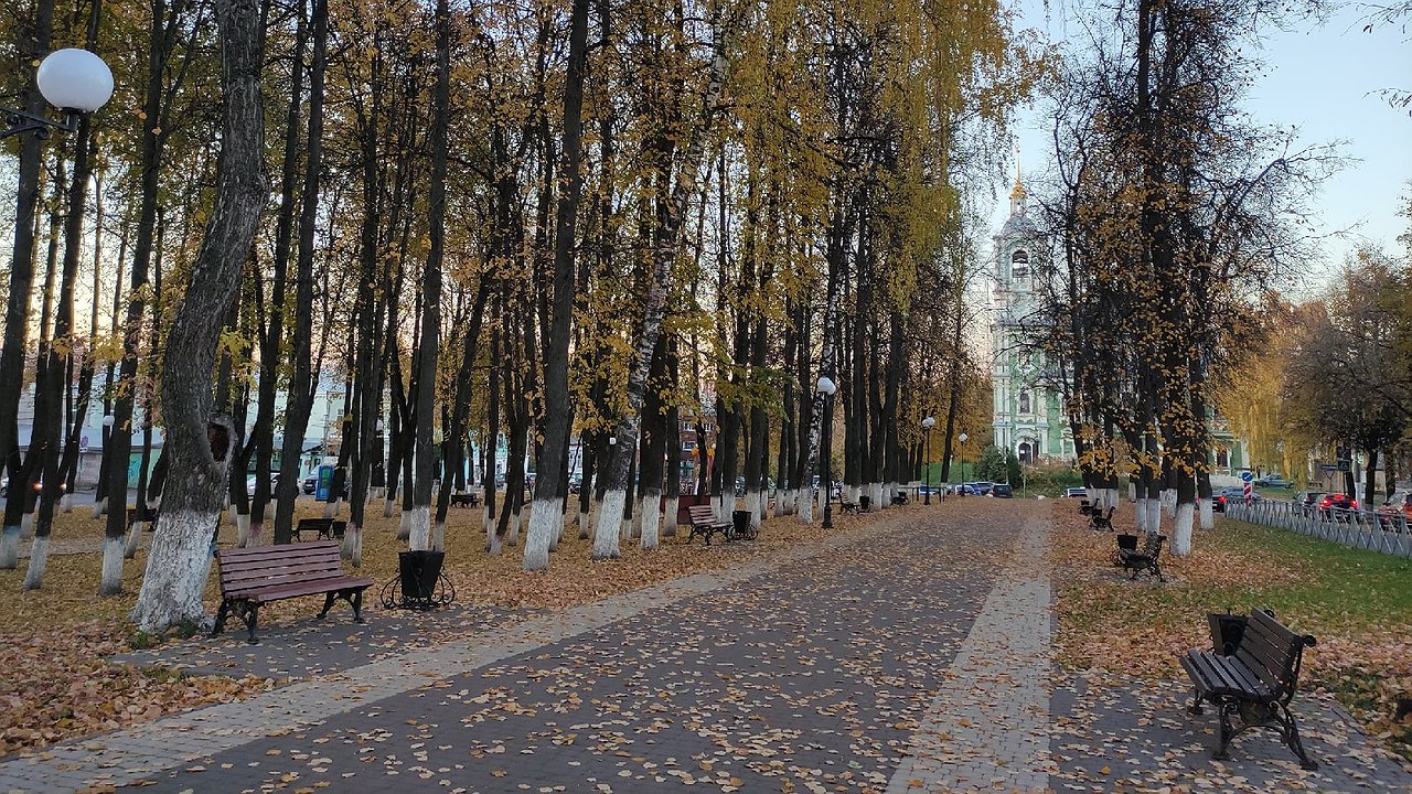 Главная картинка новости: 7 ложек в раствор — и побелка для деревьев цепче некуда: не будет сыпаться и дожди не смоют