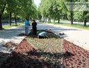В Коврове высадят 150 деревьев и 63 тысячи цветов этой весной