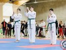 Владимирские тхэквондисты завоевали более 100 медалей на чемпионате ЦФО