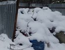 Во Владимире с кладбищ за неделю вывезли более 48 тонн мусора