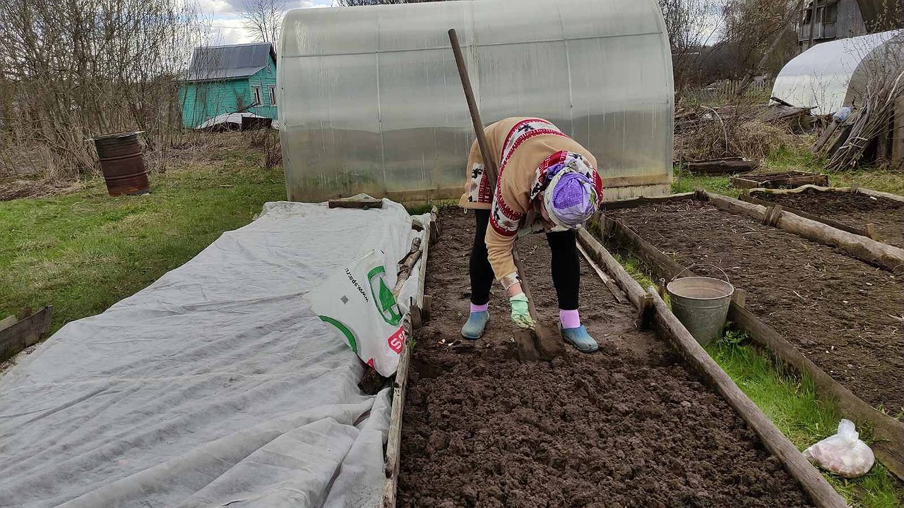 Главная картинка новости: 3 стакана на 1 м² — и почва мягче пуха и воздушнее облака: даже каменная земля стала похожа на чернозём