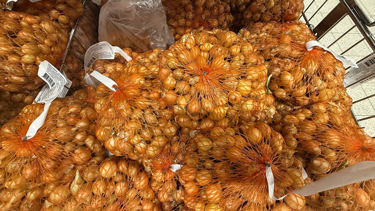 Главная картинка новости: Обработайте севок перед посадкой этим способом: лук больше болеть не будет, не уйдет в стрелку и вырастет с кулак