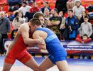 Владимирские борцы завоевали восемь медалей на чемпионате ЦФО