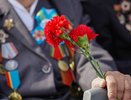 Во Владимирской области ветеранам предоставят бесплатный проезд ко Дню Победы