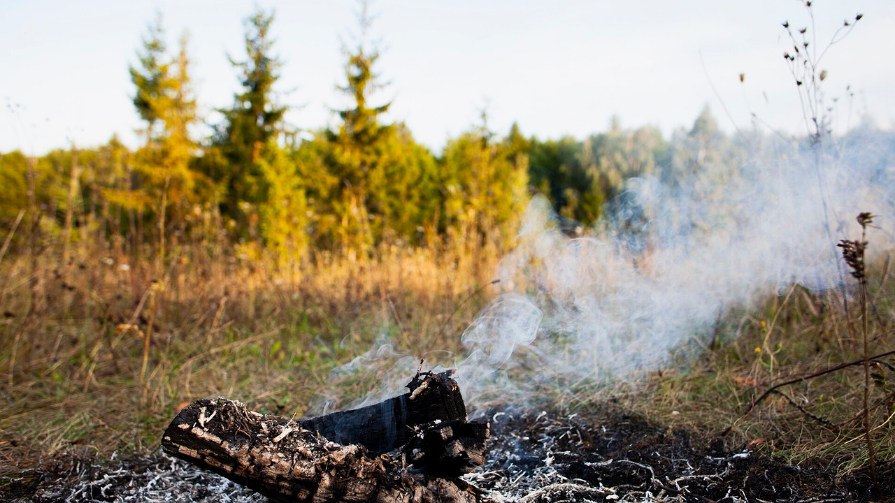 Главная картинка новости: Из-за зноя в 9 районах Владимирской области введен особый противопожарный режим