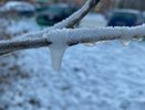 Морозы ворвутся резко и без стука: Вильфанд изменил прогноз после Пасхи — весеннее тепло сменится заморозками и снегом