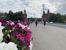 Каким будет лето 2025 после аномально теплой зимы: эксперты раскрыли, к чему готовиться всем россиянам
