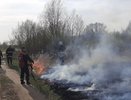 Во Владимирской области случился пожар в результате намеренного поджога растительности