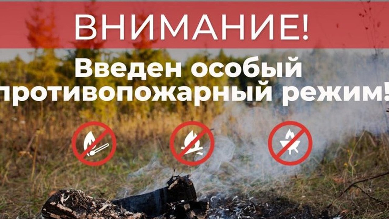 Главная картинка новости: Во Владимирской области введён особый противопожарный режим