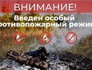 Во Владимирской области введён особый противопожарный режим