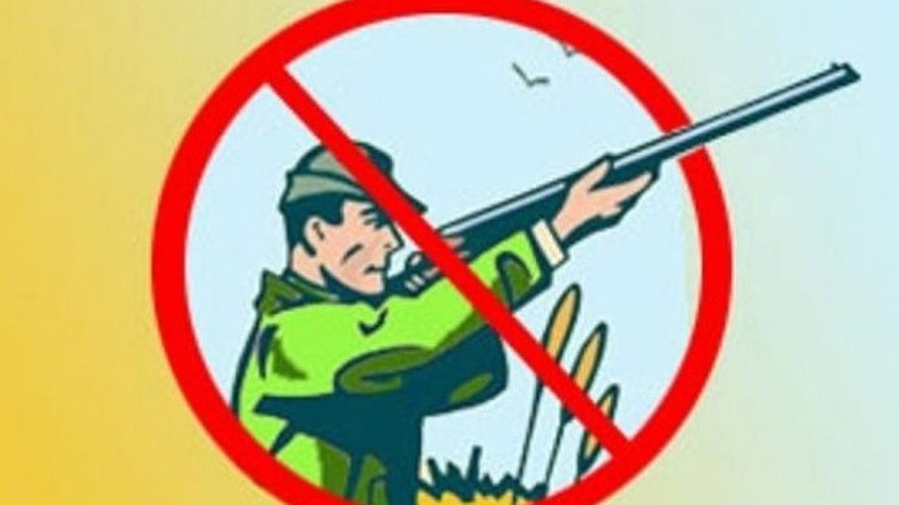 Главная картинка новости: Из-за пожароопасной обстановки в регионе ввели запрет на охоту