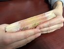 По ошибке ПФР россиянам вернут недополученные суммы за 3 года - серьёзная компенсация
