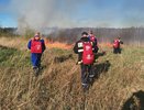Во Владимире потушили угрожавший свинокомплексу пожар на участке 4 гектара