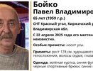 Во Владимирской области разыскивают 65-летнего мужчину в зелёной куртке и синих калошах