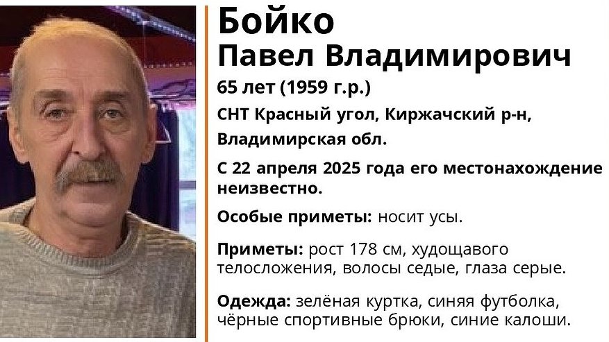 Главная картинка новости: Во Владимирской области разыскивают 65-летнего мужчину в зелёной куртке и синих калошах